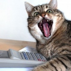 Team Page: Here 4 Beer